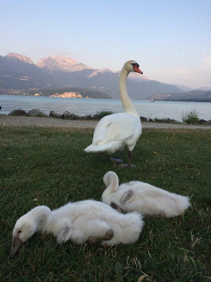 La Baie Des Voiles ,Vue Lac D'Annecy ,Plage Privee Duingt Luaran gambar